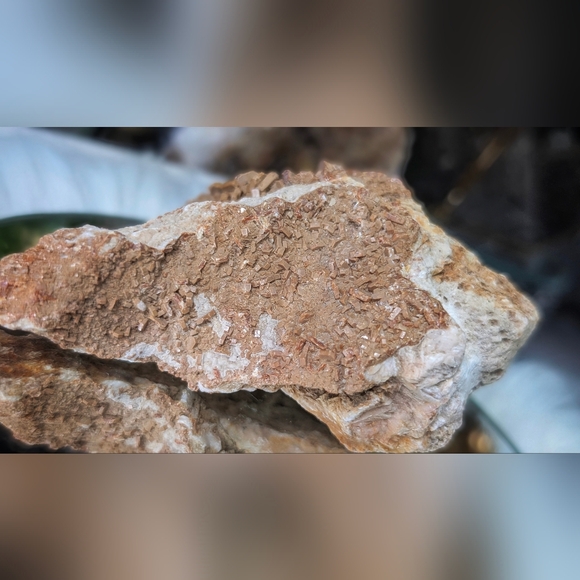 Rare Vanadinite Crystal Cluster - Picture 3 of 9